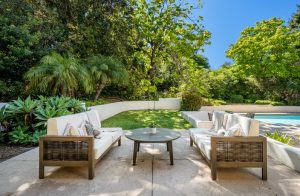 Best Privacy Plants: Creating a Secluded Oasis in Your Yard